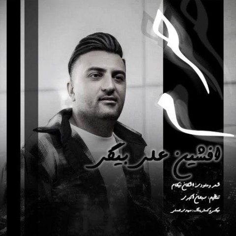 افشین علی بیگی حرم